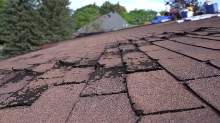 Best Metal Roofing Installation  in Pearl City, HI