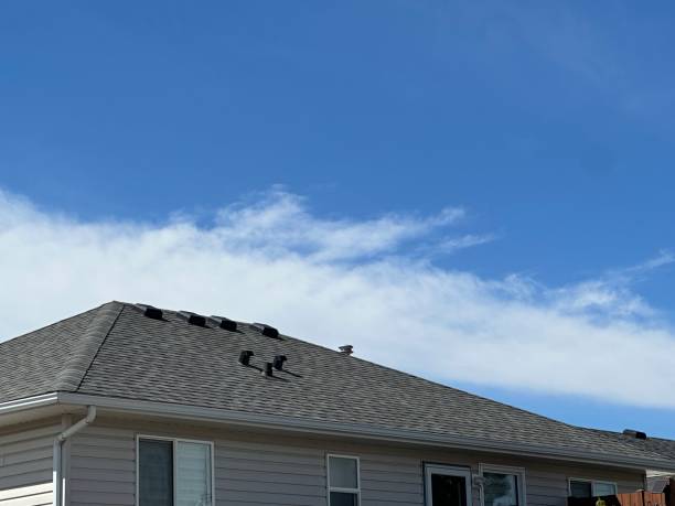 Best Emergency Roof Repair  in Pearl City, HI